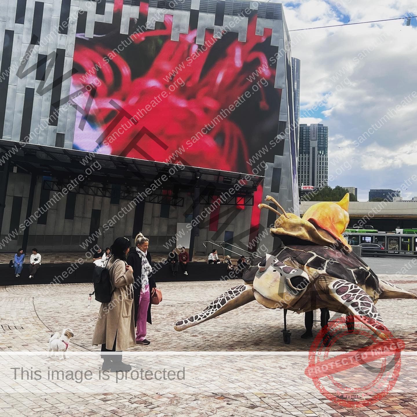 Sanctum Studio, Cosmic Turtle, Federation Square