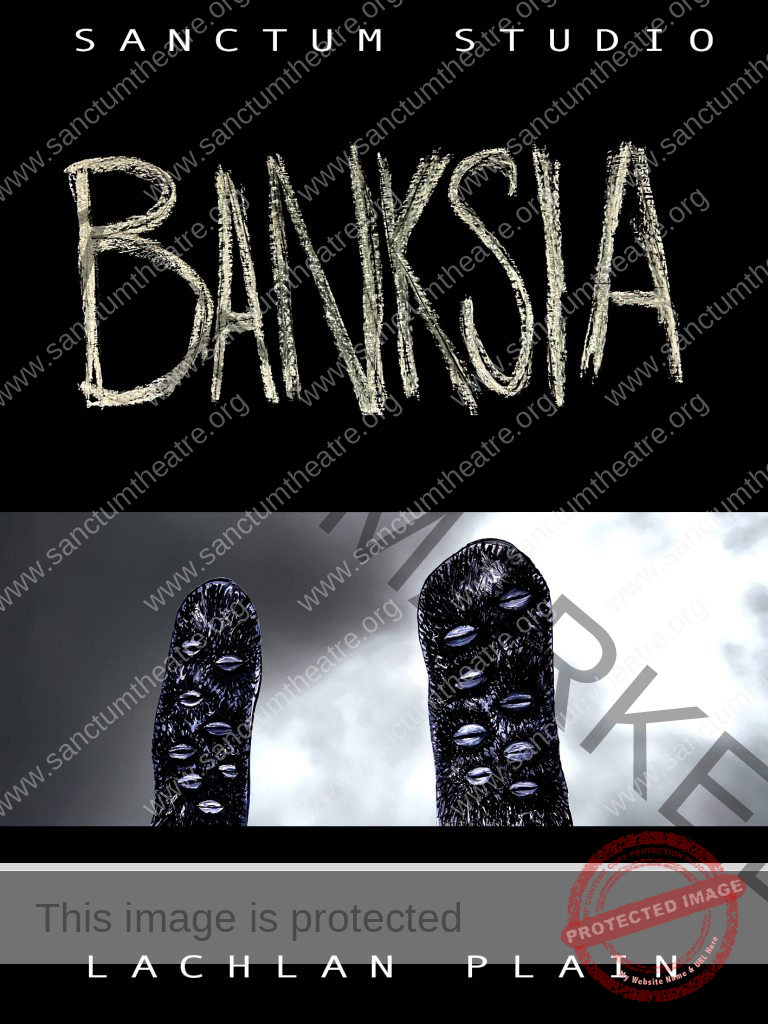 SANCTUM STUDIOO presents BANKSIA