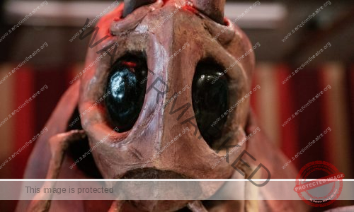 Sanctum Studio's cockroach puppet in No Longer Human, directed by James Haggarty