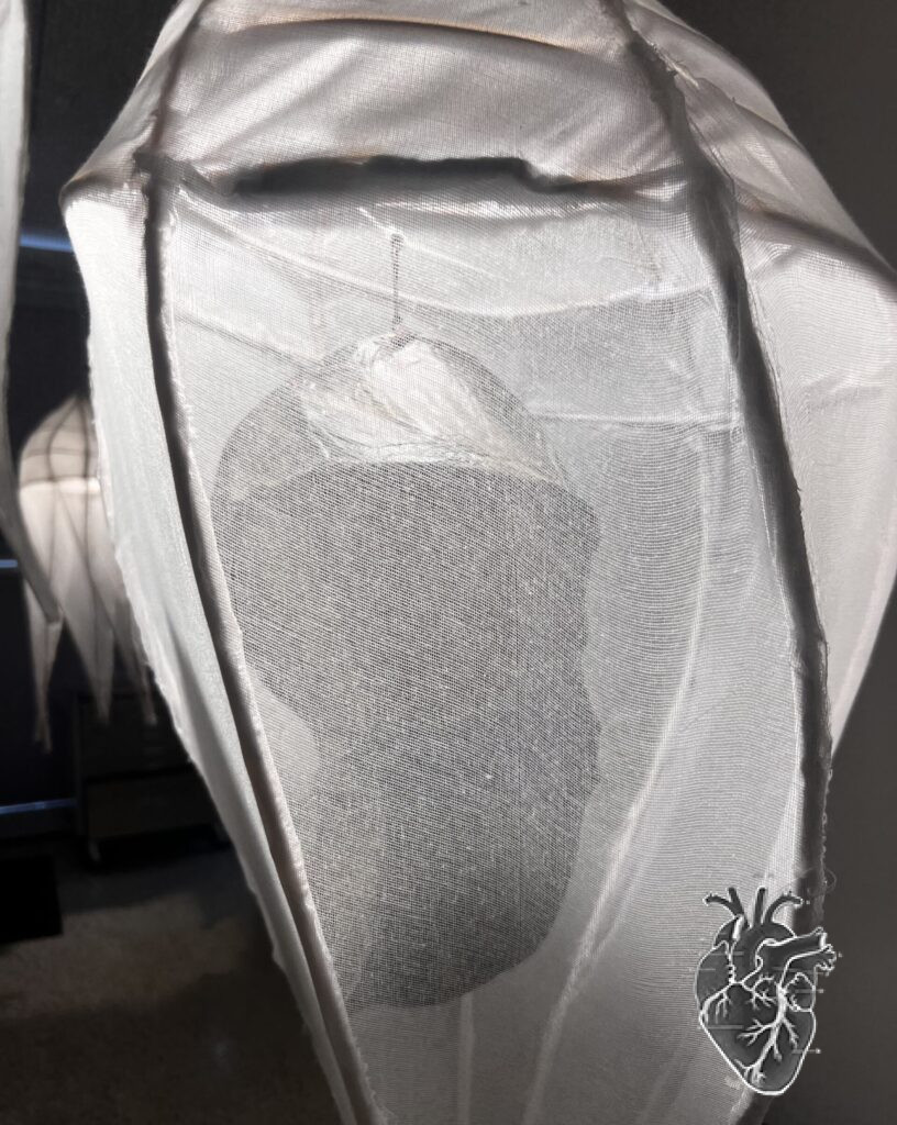 Sanctum Studio presents CORREA