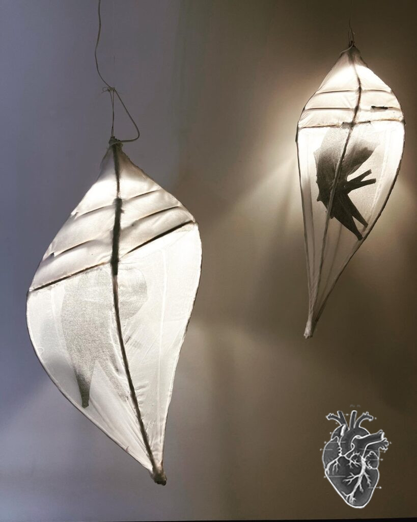 Sanctum Studio presents CORREA