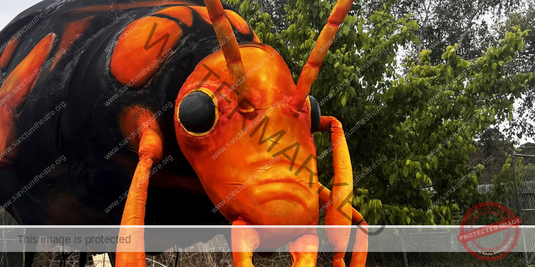 Sanctum Studios Bombardier Beetle