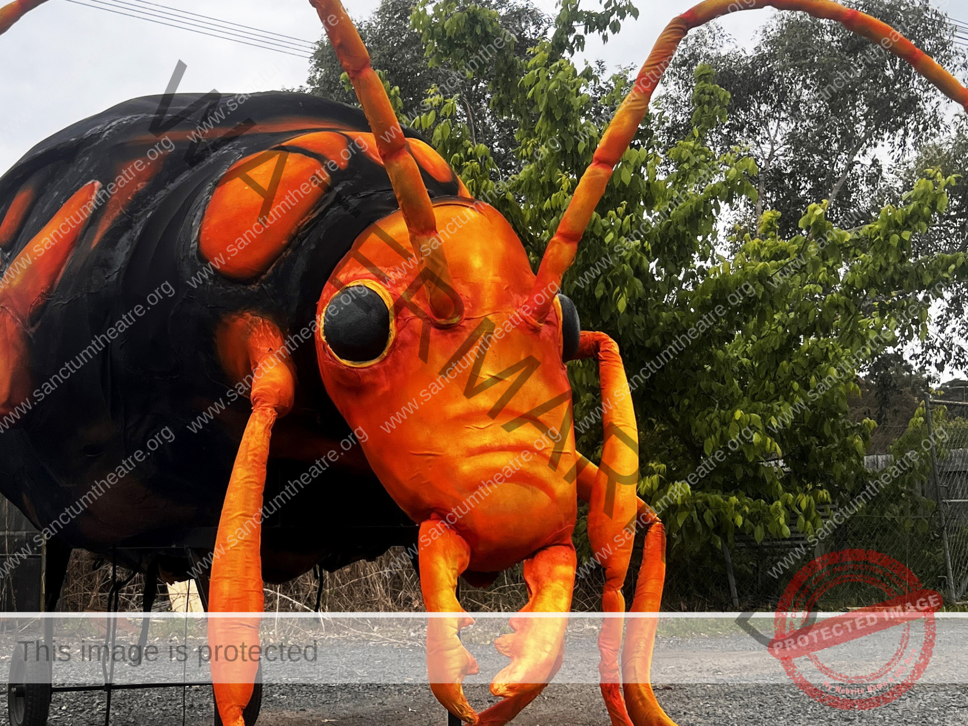 Sanctum Studios Bombardier Beetle