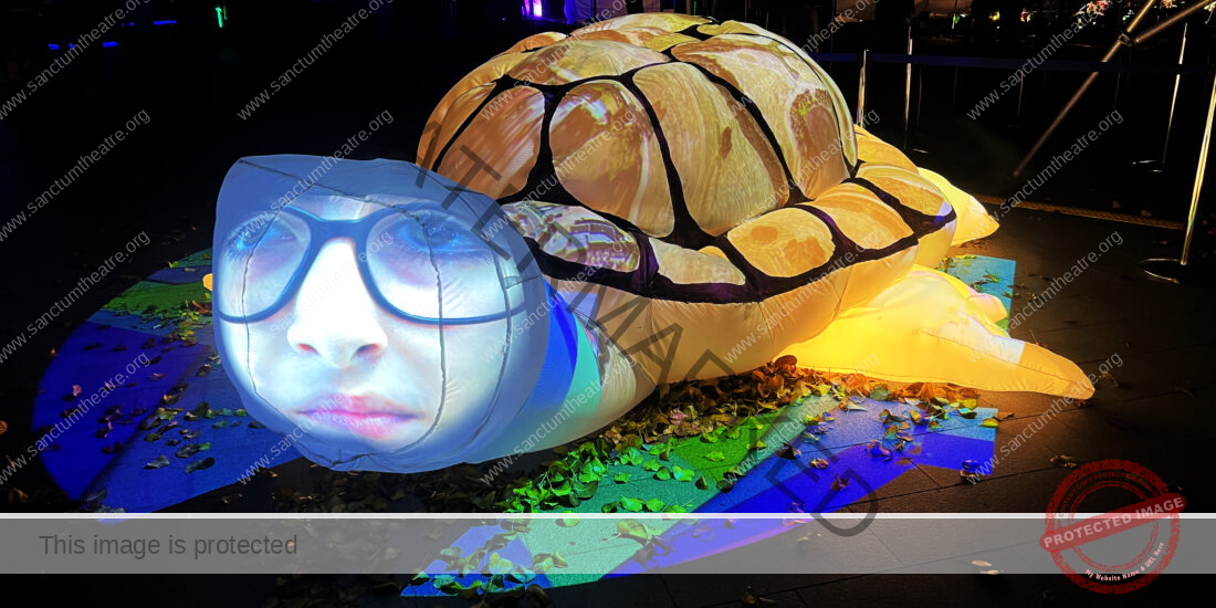 Sanctum Studio TIna the Long Neck Turtle
