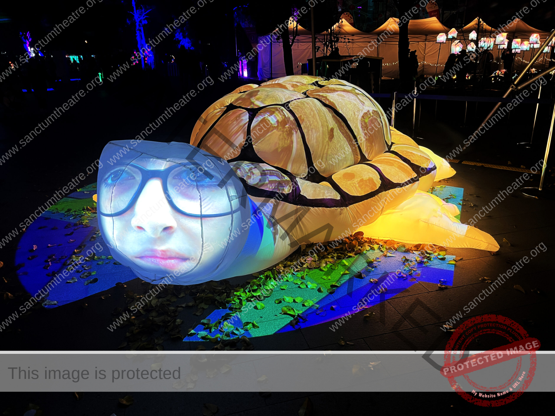 Sanctum Studio TIna the Long Neck Turtle